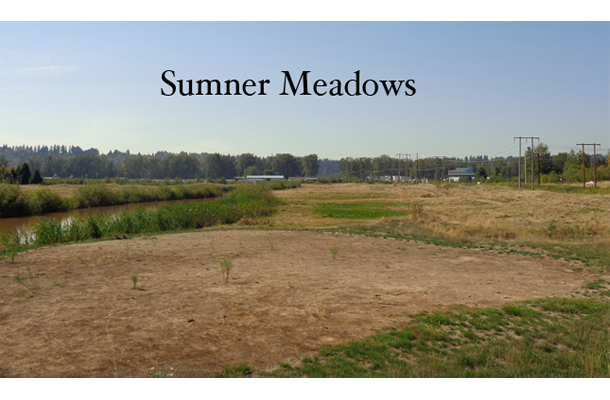 Sumner-Meadow-GC-web